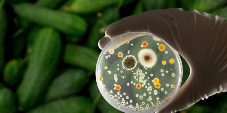 Plan to trace contaminated food delayed despite public health concerns (Photo: iStock)