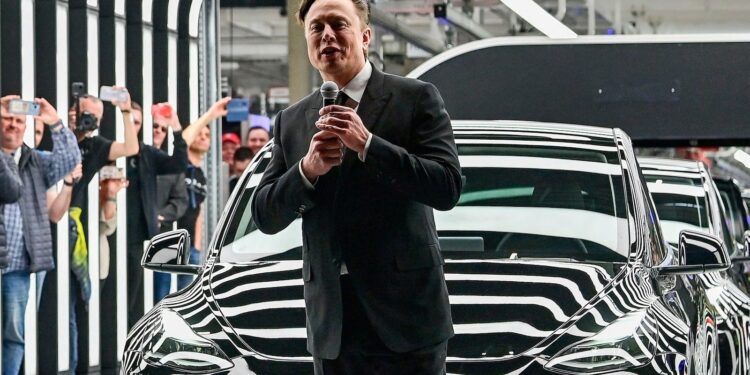 Musk commits to leading Tesla for five more years (Photo: Elon Musk/Pixabay)