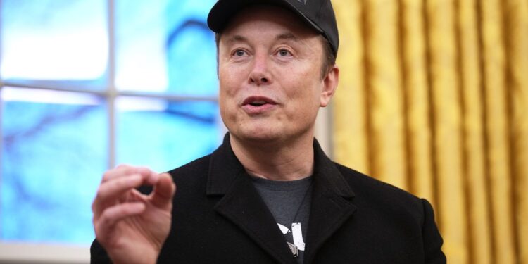 Musk claims agency sends money to deceased and undocumented (Photo: Elon Musk/Getty Images)