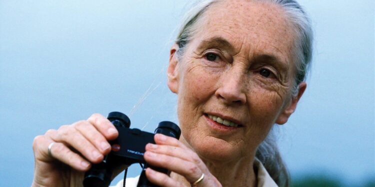 Her voice for animals echoes far beyond the forest (Photo: @janegoodallinst/Instagram)