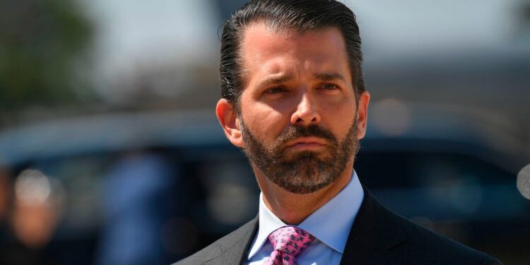 His career reflects years of work in the Trump Organization and ventures of his own (Photo: Donald Trump Jr./Getty Images)