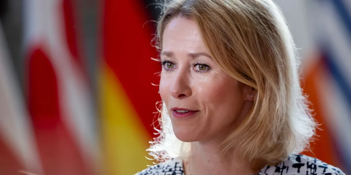 EU foreign ministers prepare for crucial virtual talks on global tensions (Photo: Kallas/Alamy)