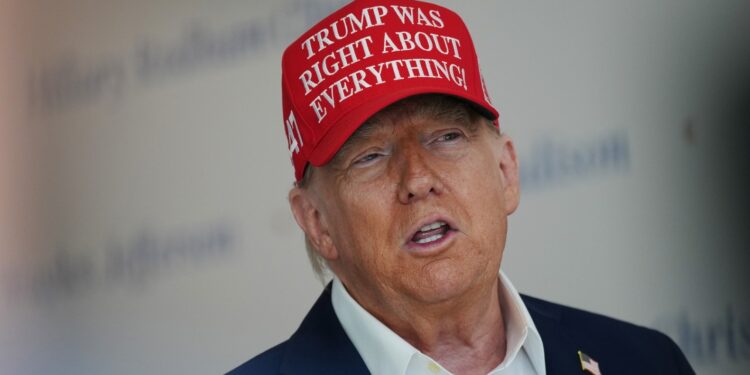 Trump criticized for acting as a national police force according to ruling (Photo: Donald Trump/Pixabay)